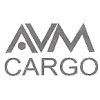 ТОО «AVM Cargo»